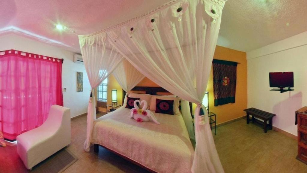Flamingo Hotel Κοζουμέλ Εξωτερικό φωτογραφία